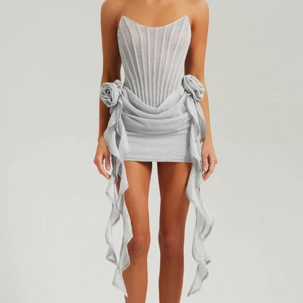 Heiress Beverly Hills Silver Rose Corset Dress XS